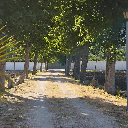 Aljara *